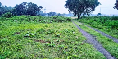 4 Bigha Land for sale in Kuldiha, Durgapur.-CT98179-Im5644